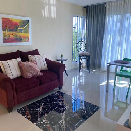 Tiny Apartment By Merengue House ,8 Minutos Airport Santo Domingo Eksteriør billede